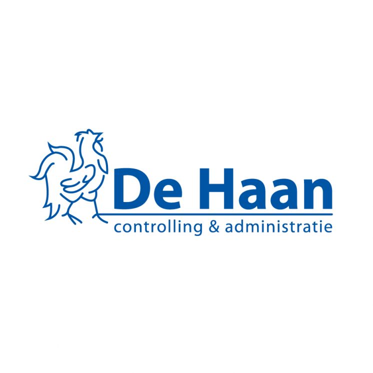 De Haan Controlling