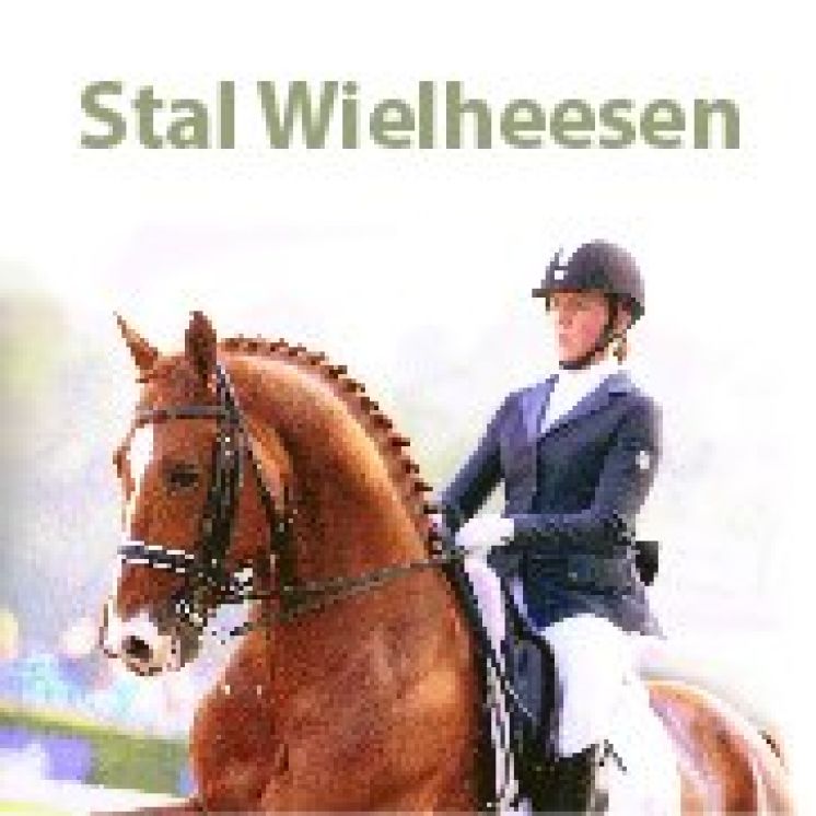 Stal Wielheesen