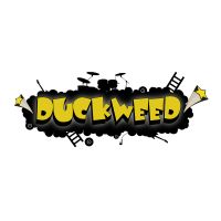 Duckweed